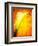 Freedom from Doubt-Doug Chinnery-Framed Photographic Print