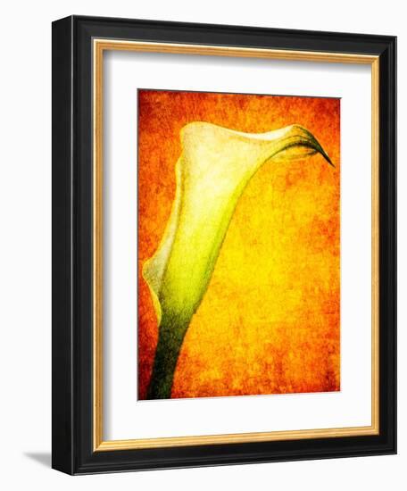 Freedom from Doubt-Doug Chinnery-Framed Photographic Print