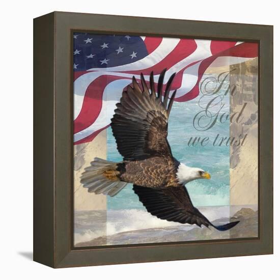 Freedom I-Todd Williams-Framed Stretched Canvas