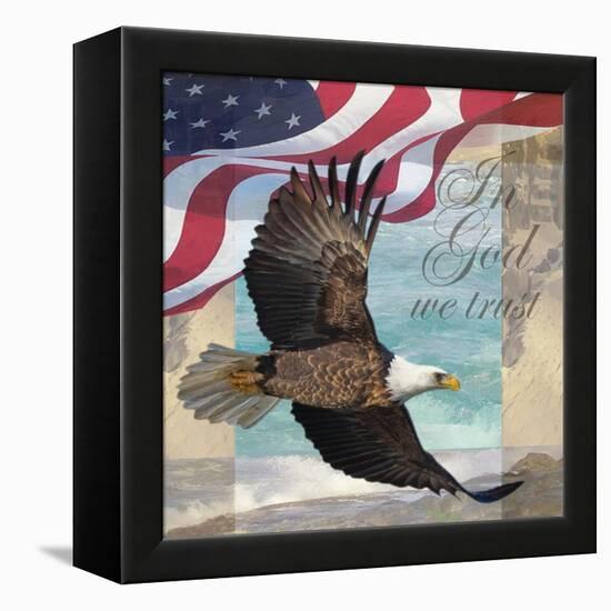 Freedom I-Todd Williams-Framed Stretched Canvas