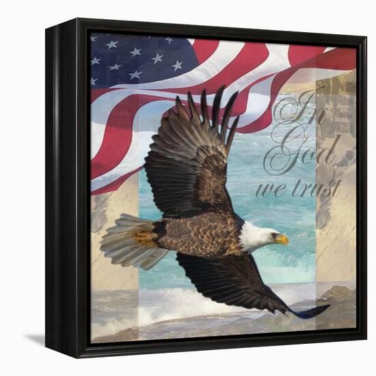 Freedom I-Todd Williams-Framed Stretched Canvas