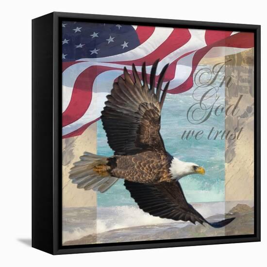 Freedom I-Todd Williams-Framed Stretched Canvas