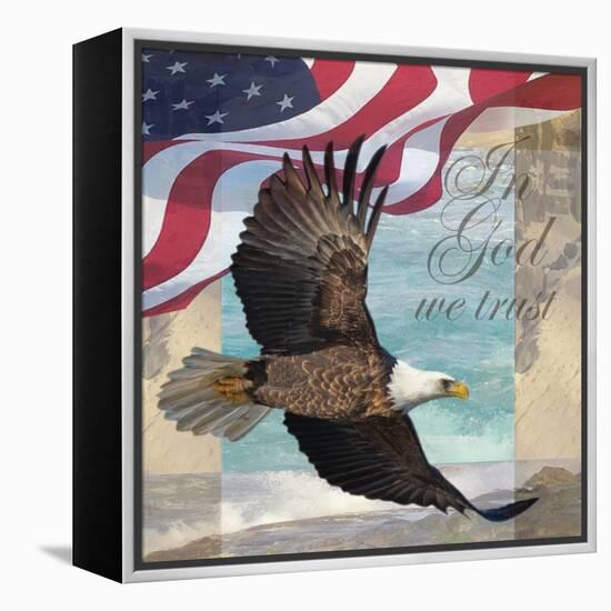 Freedom I-Todd Williams-Framed Stretched Canvas