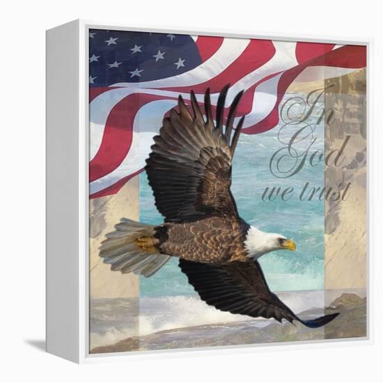 Freedom I-Todd Williams-Framed Stretched Canvas