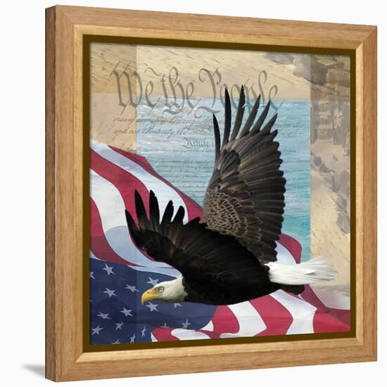 Freedom II-Todd Williams-Framed Stretched Canvas