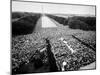 Freedom March During Civil Rights Rally, with View of Washington Memorial Monument in the Bkgrd-null-Mounted Photographic Print