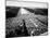 Freedom March During Civil Rights Rally, with View of Washington Memorial Monument in the Bkgrd-null-Mounted Photographic Print