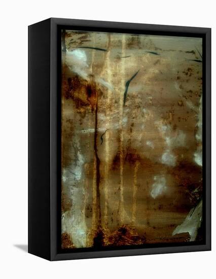 freedom of Expression II-Ruth Palmer 2-Framed Stretched Canvas
