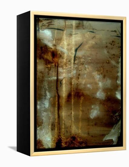 freedom of Expression II-Ruth Palmer 2-Framed Stretched Canvas