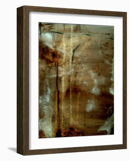 freedom of Expression II-Ruth Palmer 2-Framed Art Print