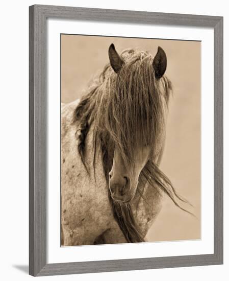 Freedom-Lisa Dearing-Framed Art Print