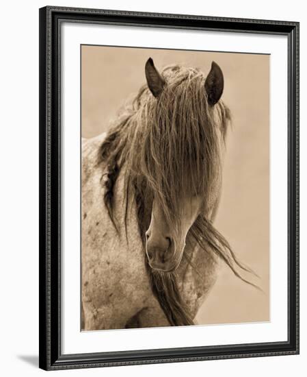 Freedom-Lisa Dearing-Framed Art Print