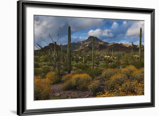 Freedom-Michael Greene-Framed Giclee Print