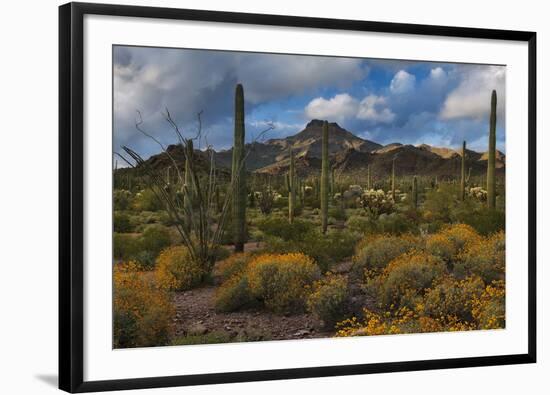 Freedom-Michael Greene-Framed Giclee Print