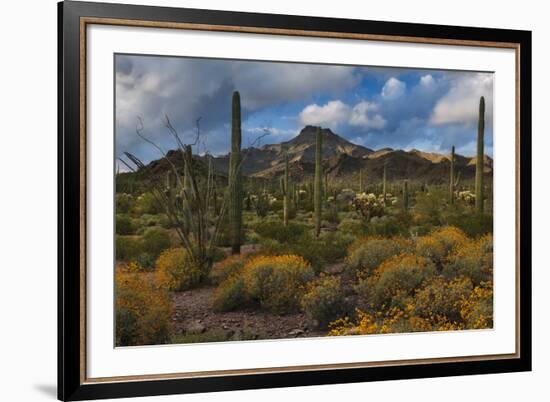 Freedom-Michael Greene-Framed Giclee Print