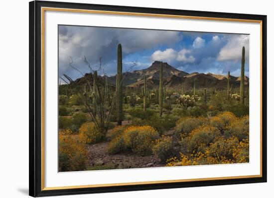 Freedom-Michael Greene-Framed Giclee Print