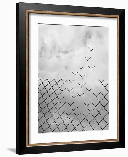 Freedom-Daniel Alonso-Framed Giclee Print