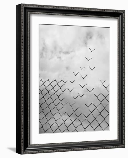 Freedom-Daniel Alonso-Framed Giclee Print