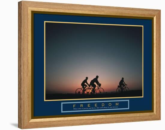 Freedom-null-Framed Stretched Canvas