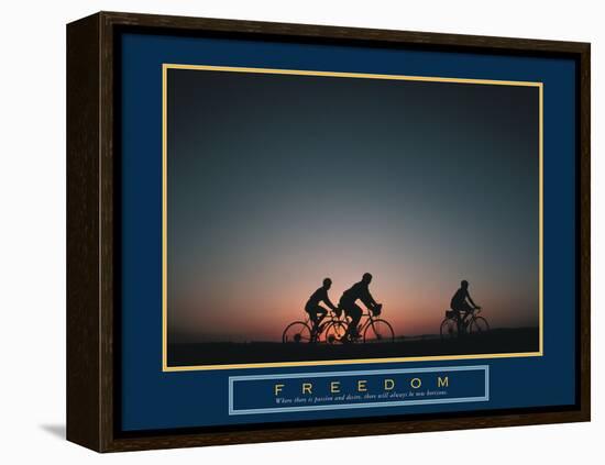 Freedom-null-Framed Stretched Canvas