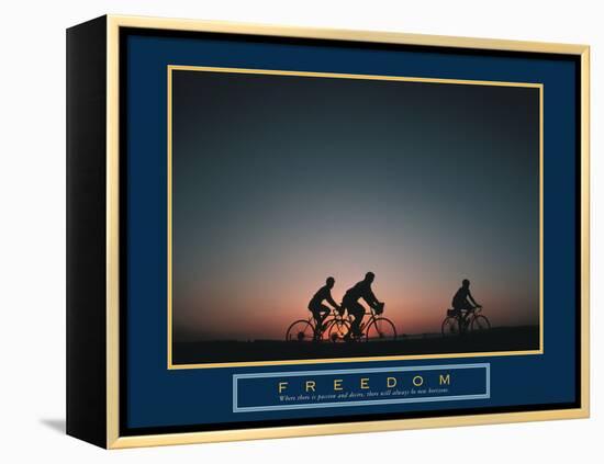 Freedom-null-Framed Stretched Canvas