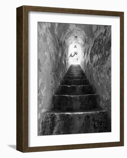 Freedom-Moises Levy-Framed Photographic Print