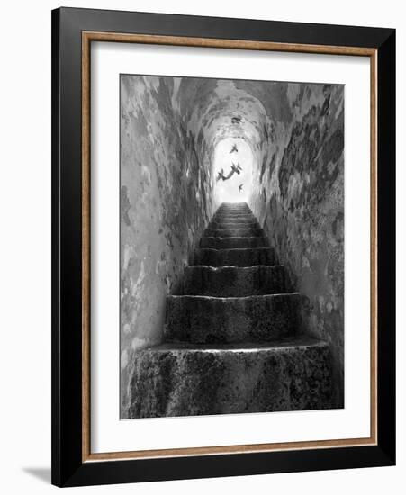 Freedom-Moises Levy-Framed Photographic Print