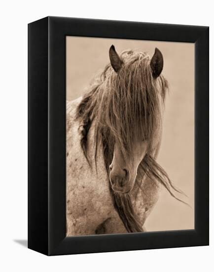 Freedom-Lisa Dearing-Framed Premier Image Canvas