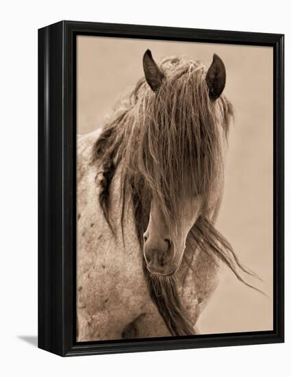 Freedom-Lisa Dearing-Framed Premier Image Canvas