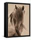 Freedom-Lisa Dearing-Framed Premier Image Canvas