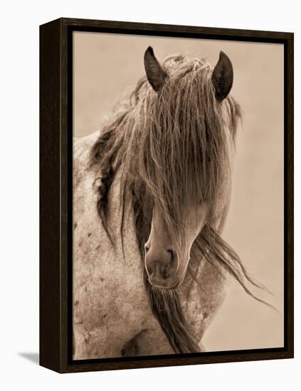 Freedom-Lisa Dearing-Framed Premier Image Canvas