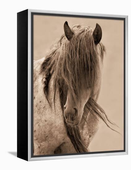 Freedom-Lisa Dearing-Framed Premier Image Canvas