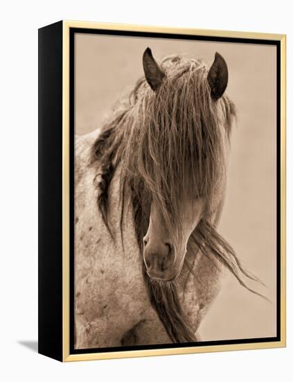 Freedom-Lisa Dearing-Framed Premier Image Canvas