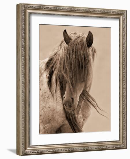 Freedom-Lisa Dearing-Framed Photographic Print