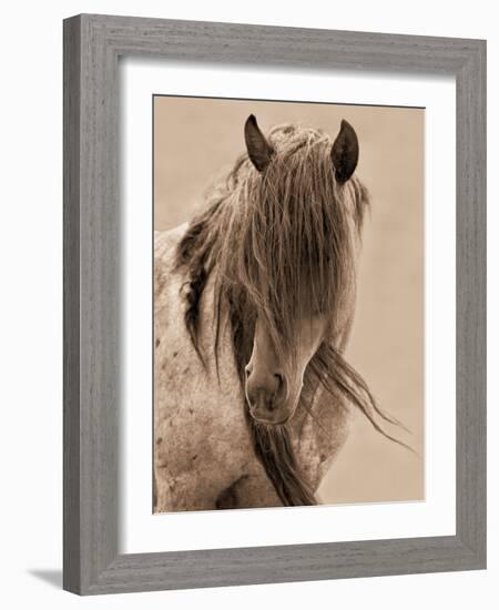 Freedom-Lisa Dearing-Framed Photographic Print