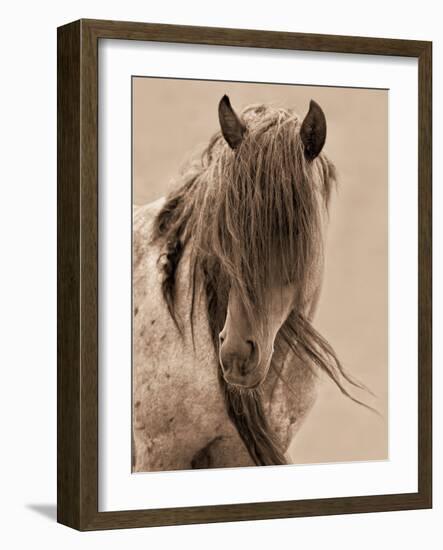 Freedom-Lisa Dearing-Framed Photographic Print