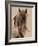 Freedom-Lisa Dearing-Framed Photographic Print