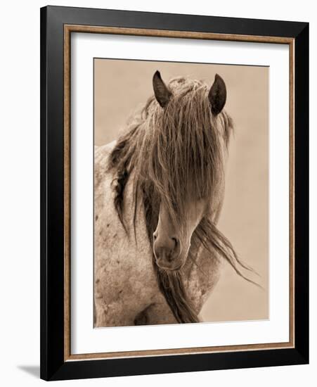 Freedom-Lisa Dearing-Framed Photographic Print