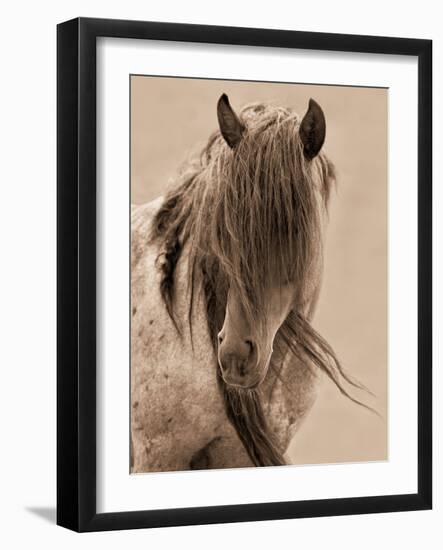 Freedom-Lisa Dearing-Framed Photographic Print