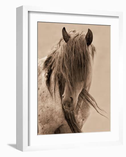 Freedom-Lisa Dearing-Framed Photographic Print