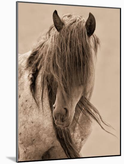 Freedom-Lisa Dearing-Mounted Photographic Print