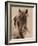 Freedom-Lisa Dearing-Framed Photographic Print