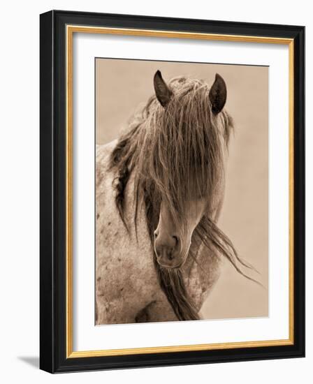 Freedom-Lisa Dearing-Framed Photographic Print