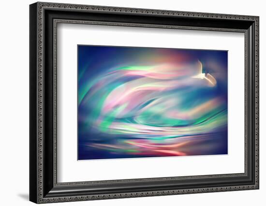 Freedom-Ursula Abresch-Framed Photographic Print