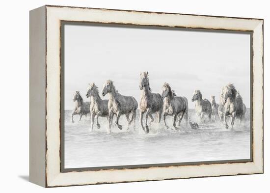 Freedom-Marco Carmassi-Framed Premier Image Canvas