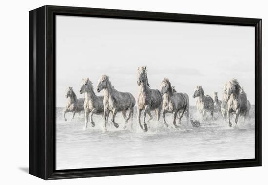 Freedom-Marco Carmassi-Framed Premier Image Canvas