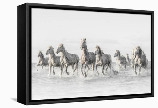 Freedom-Marco Carmassi-Framed Premier Image Canvas