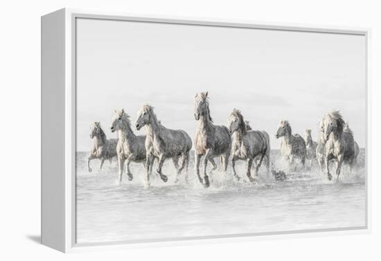 Freedom-Marco Carmassi-Framed Premier Image Canvas