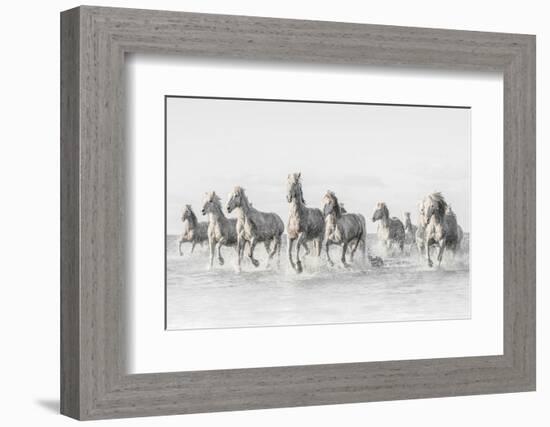 Freedom-Marco Carmassi-Framed Photographic Print