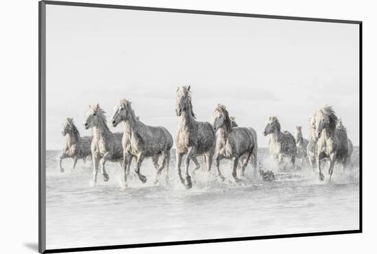 Freedom-Marco Carmassi-Mounted Photographic Print